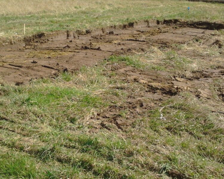 korytowanie drogi dojazdowej