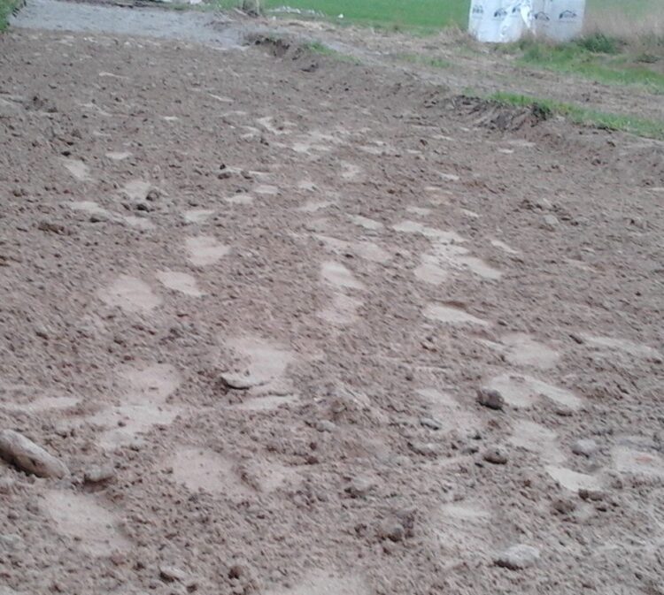 warstwa odsączająca pod drogę - wykonanie z piasku