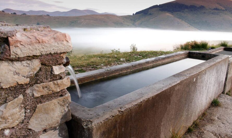 Jak wybrać korytka betonowe: rodzaje, montaż i dobór wymiarów